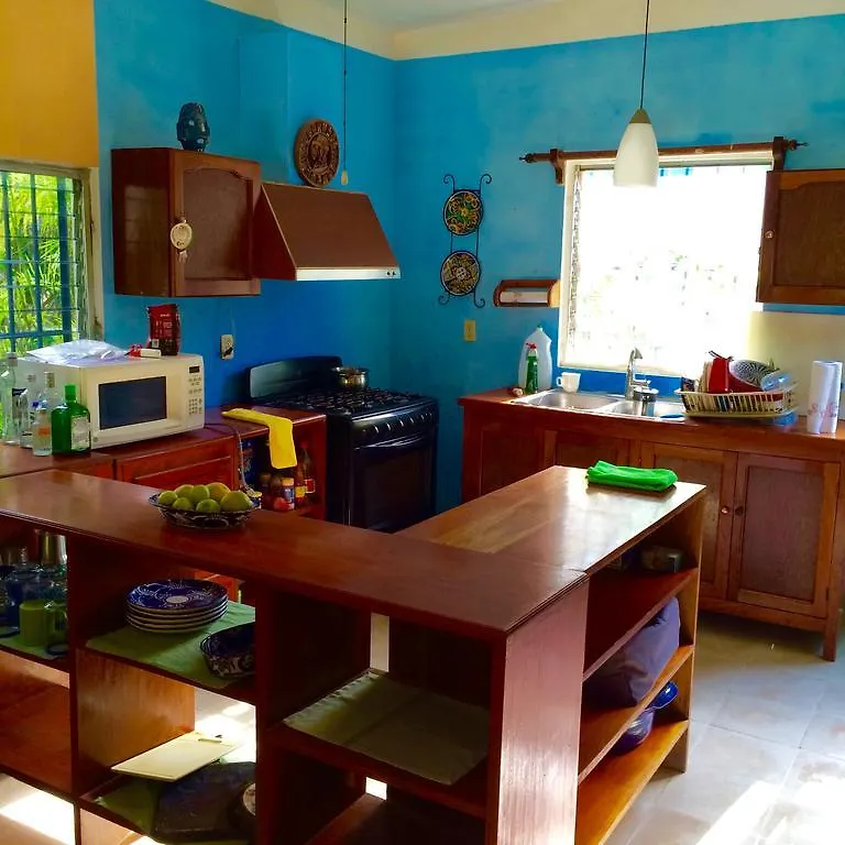 The Ascension Bay Bed And Breakfast Punta Allen Bed & Breakfast