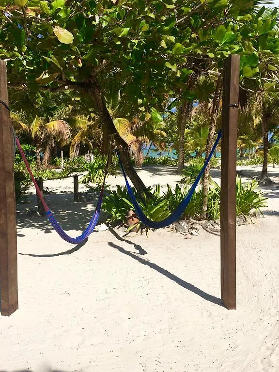 Bed & Breakfast The Ascension Bay Bed And Breakfast Punta Allen