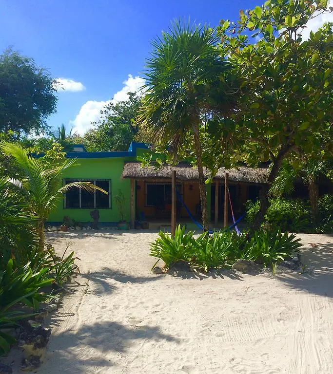 The Ascension Bay Bed And Breakfast Punta Allen