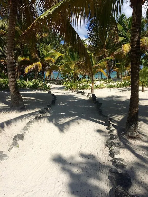 The Ascension Bay Bed And Breakfast Punta Allen 0*,