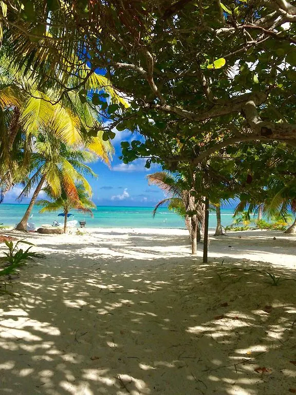 The Ascension Bay Bed And Breakfast Punta Allen